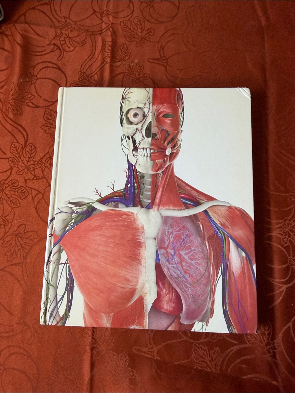 The Human Body Book